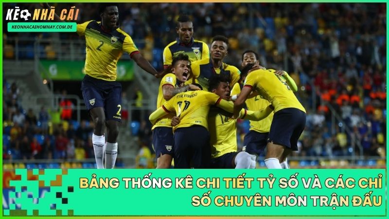 Người hâm mộ có thể dễ dàng kiểm tra các thông số chuyên môn và tỷ lệ trả thưởng sau trận đấu.